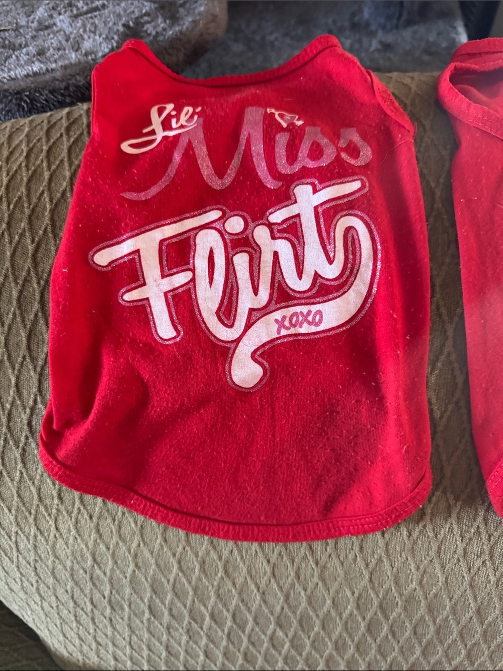 Flirt Red Dogs Tank Top